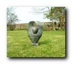 Big elm seed